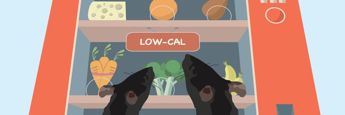 Victoria Acosta-Rodríguez PhD banner