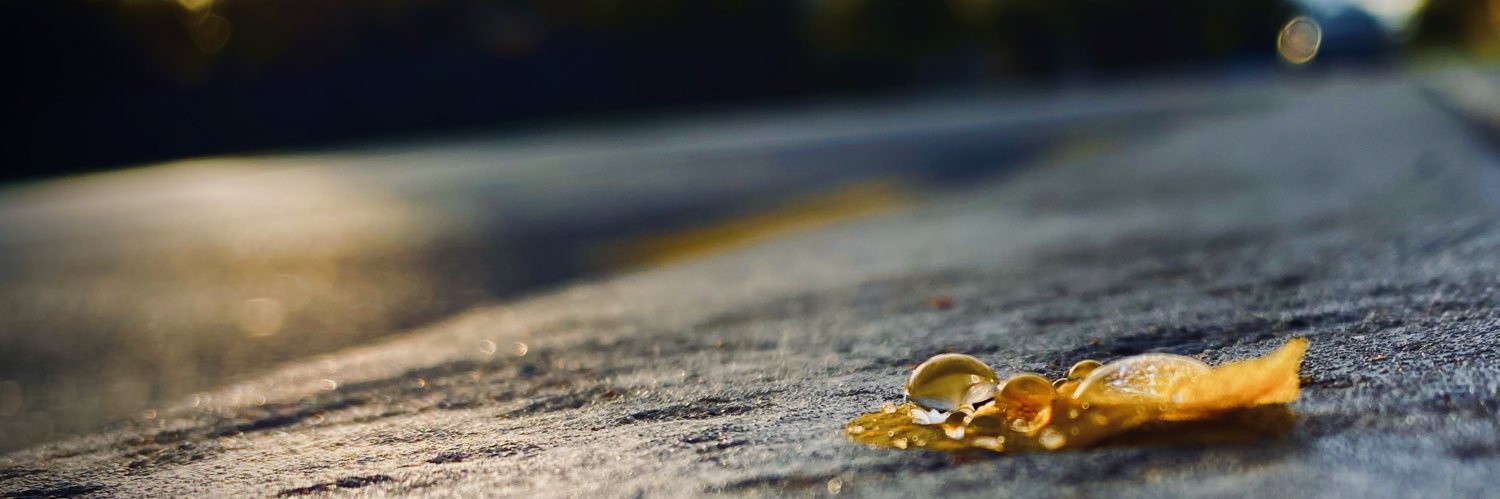 alwinex03's profile banner image