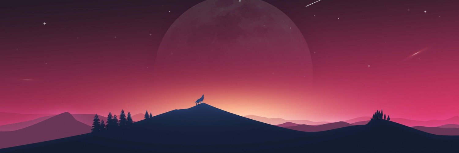 Liney Arnorsdottir banner