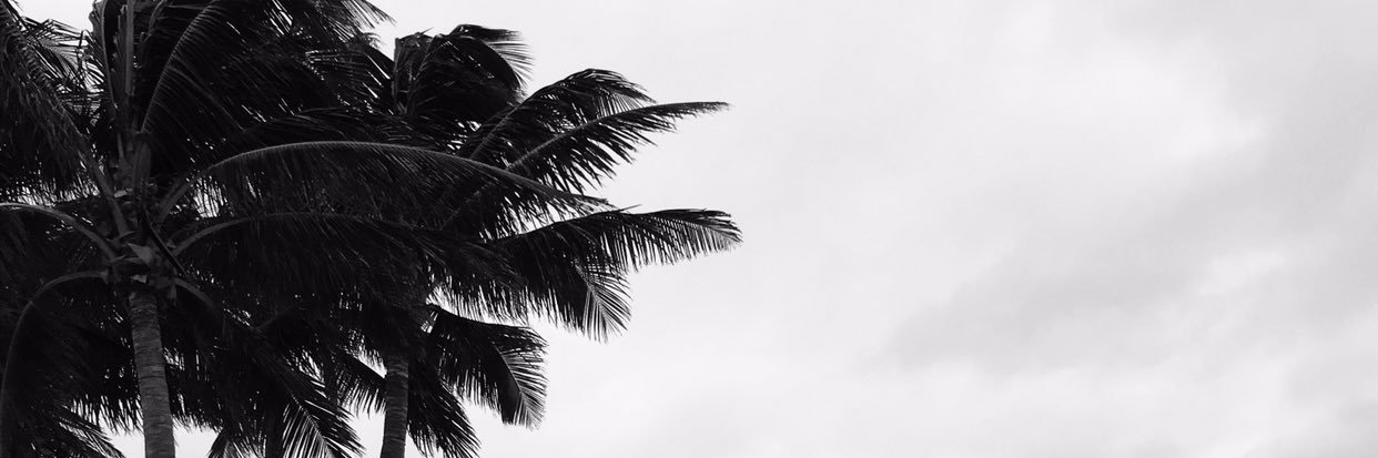 Lu_Fink's profile banner image