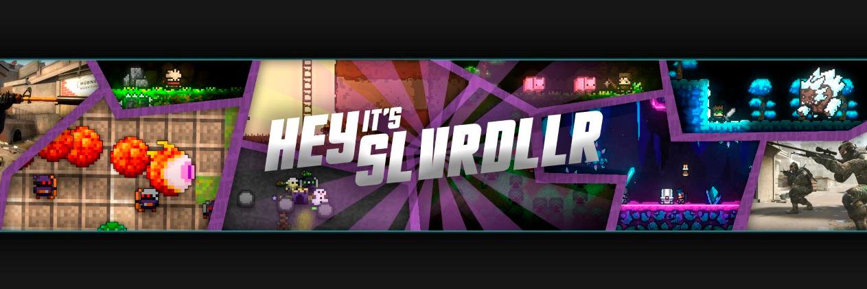 SLVRDLLR banner