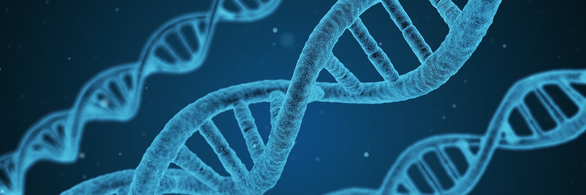 CancerNewsApp's profile banner image