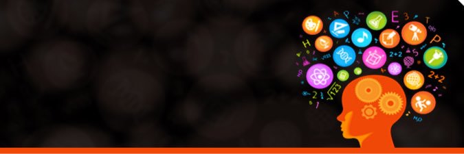 Heather Stebbins banner