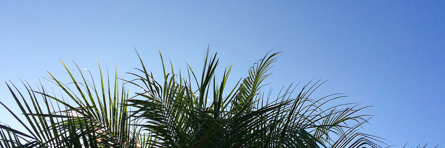 santeugi's profile banner image