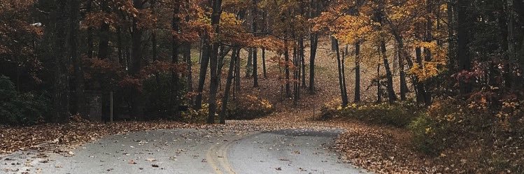 savvygris's profile banner image