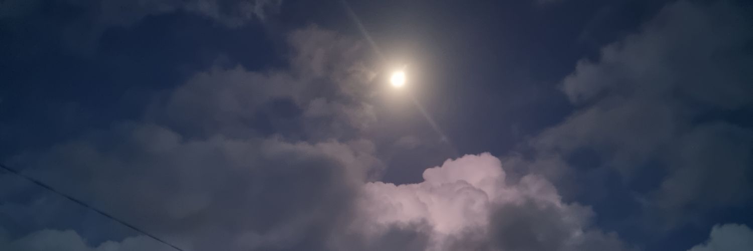 Rodzeroskull's profile banner image