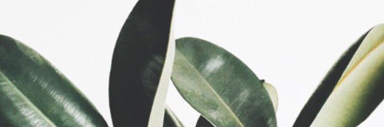 TesyaCA's profile banner image