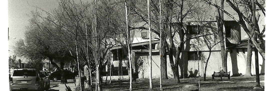 Stocking Clover banner