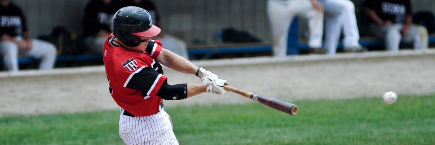 Aul Bat Company banner