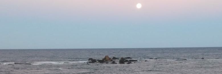GuilleBoggan's profile banner image