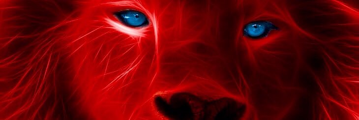 Omarrou's profile banner image
