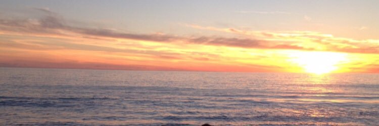 melody_roseo's profile banner image