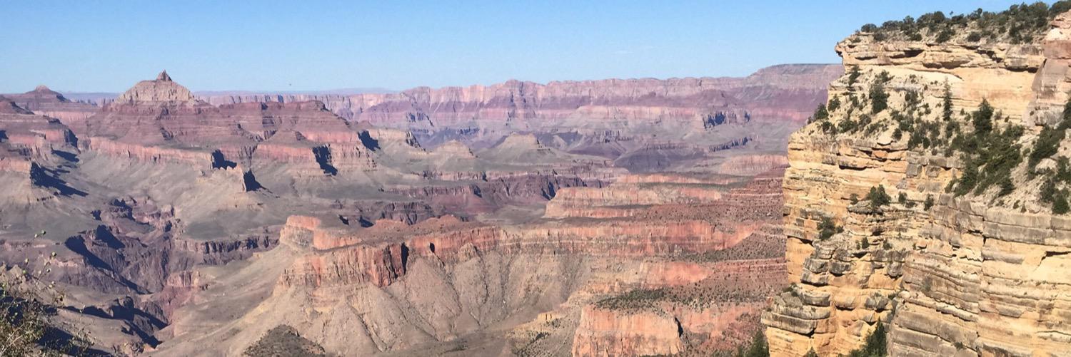 BethanySuz's profile banner image