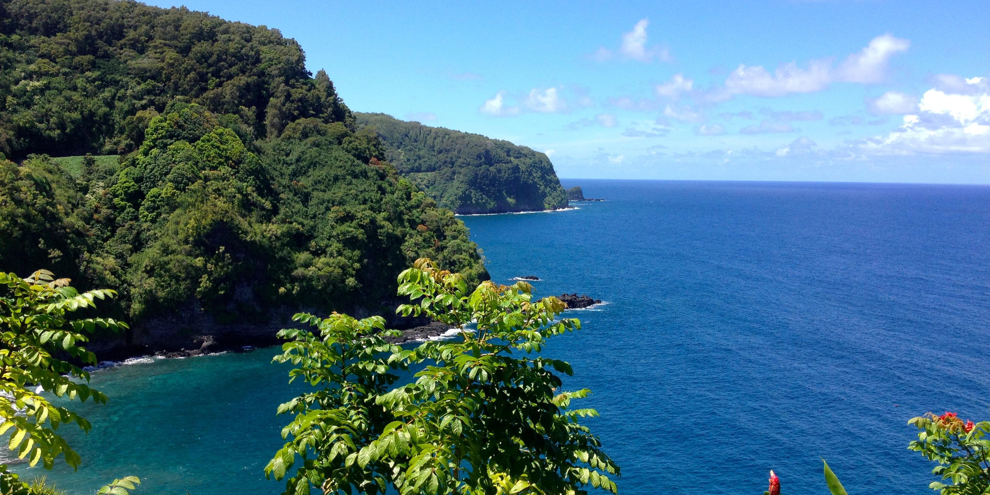 Cassandra da Costa banner