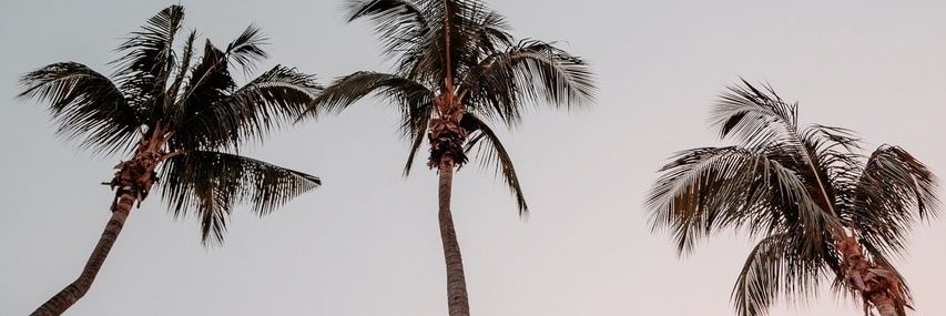 AriFerraes's profile banner image