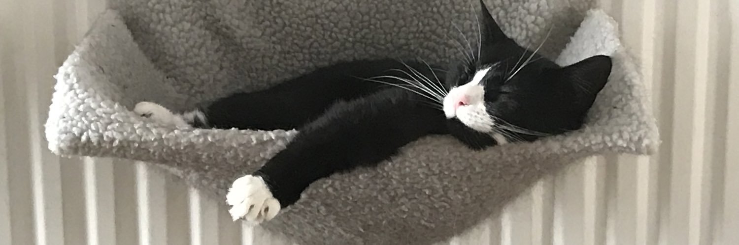 Heather Powell banner