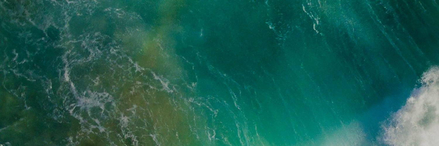 Zingrayman's profile banner image