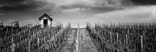 PaulPerryWriter Profile Banner