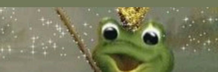 The Toadours banner