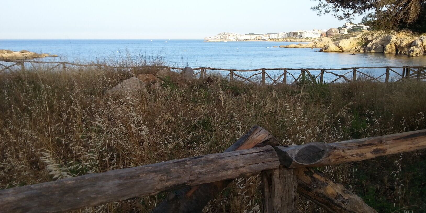 monicafontb's profile banner image