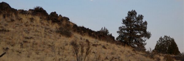 poder Profile Banner