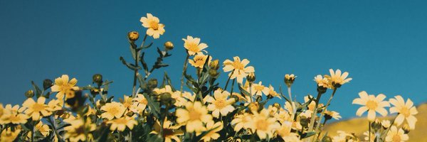 kamaczyta Profile Banner