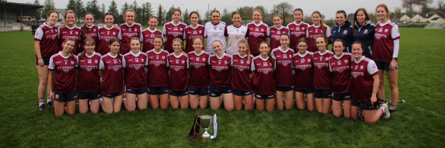 Annaghdown LGFA banner