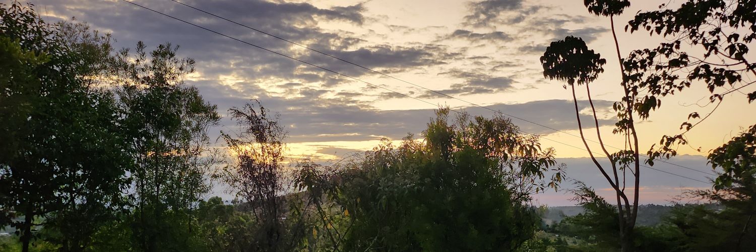 misikj's profile banner image