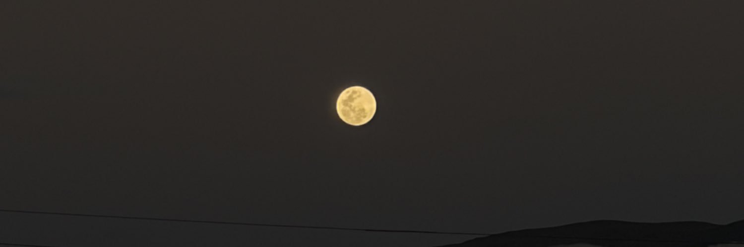marilopezj's profile banner image