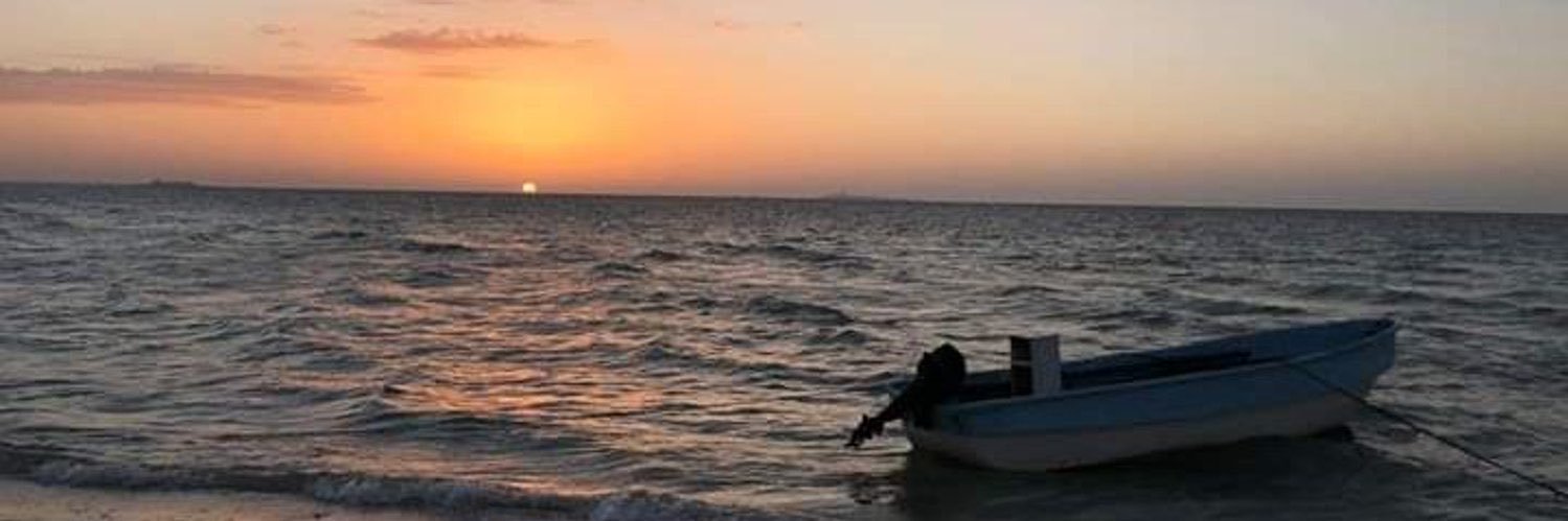ShirleyFlores_'s profile banner image