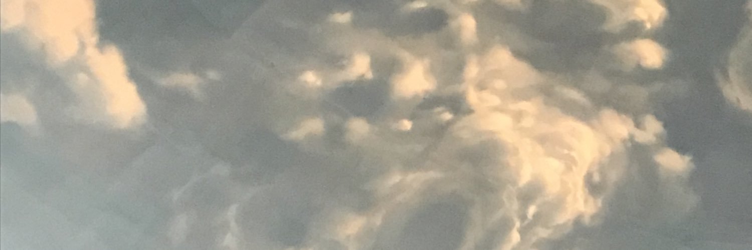 radalga's profile banner image