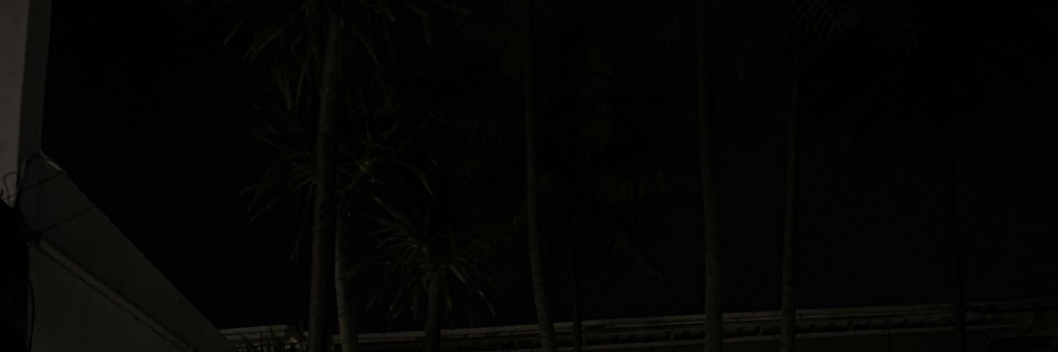 Sepisendiri_'s profile banner image