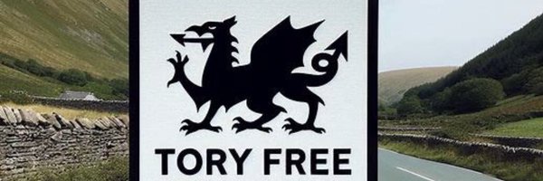 TheRealElwynD Profile Banner