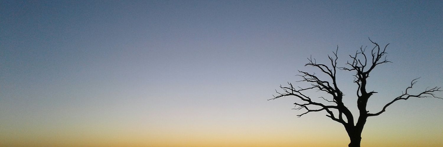 CatthiGutierrez's profile banner image