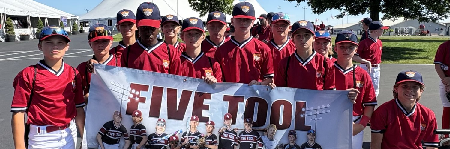 5-TOOL BASEBALL & FASTPITCH (MI) banner
