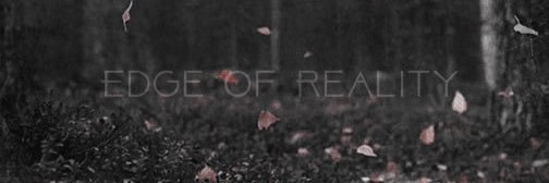 RegiaVelum's profile banner image
