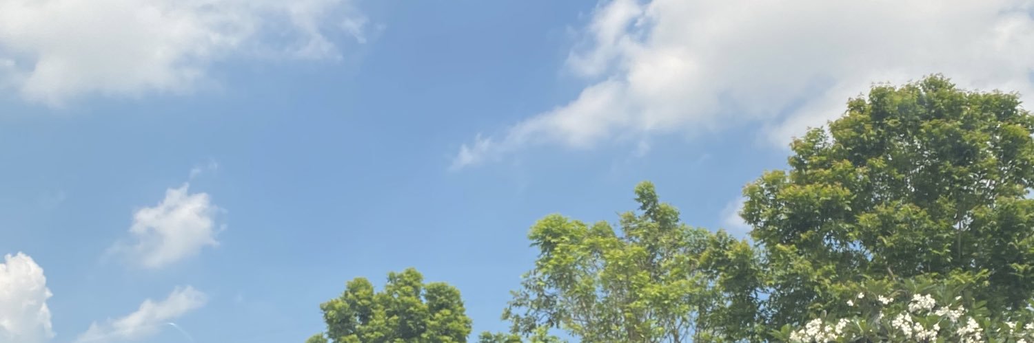 P banner