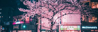 Amourrjayla's profile banner image