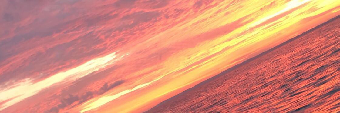 Hunter_Hilton43's profile banner image