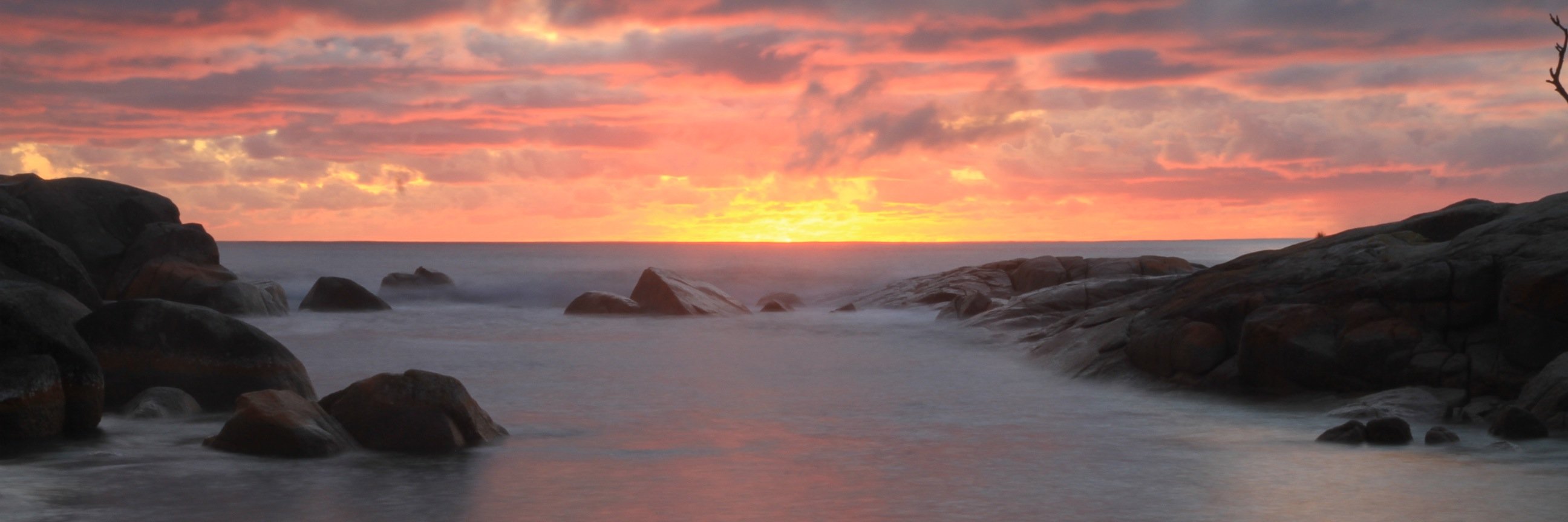 Peter McMeekin banner