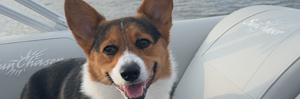 caitwolfiee's profile banner image