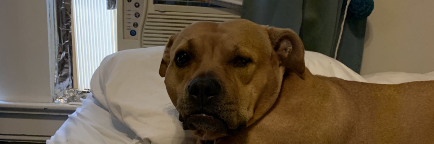 imreallyscooter's profile banner image