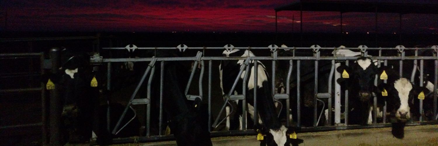 firecow6's profile banner image