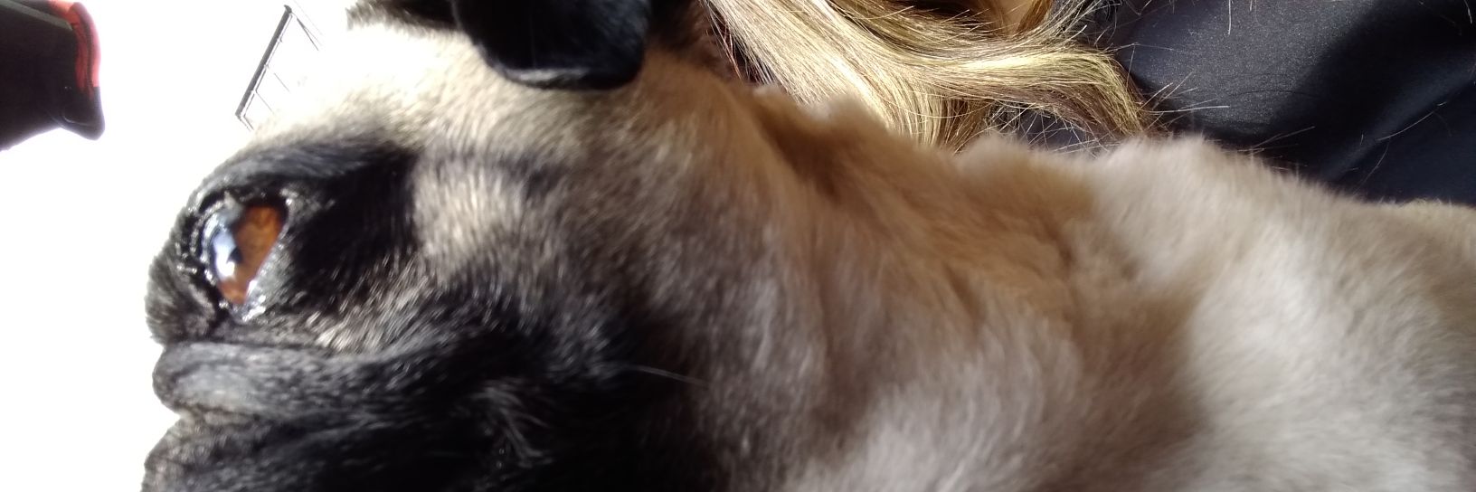 Isabellabepe's profile banner image