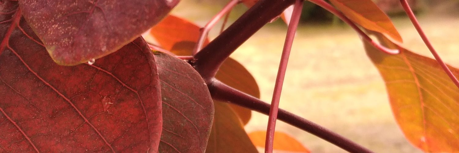 OstiPoonam's profile banner image
