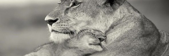 DaMaLa67's profile banner image