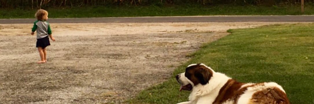 cmfarmer8's profile banner image