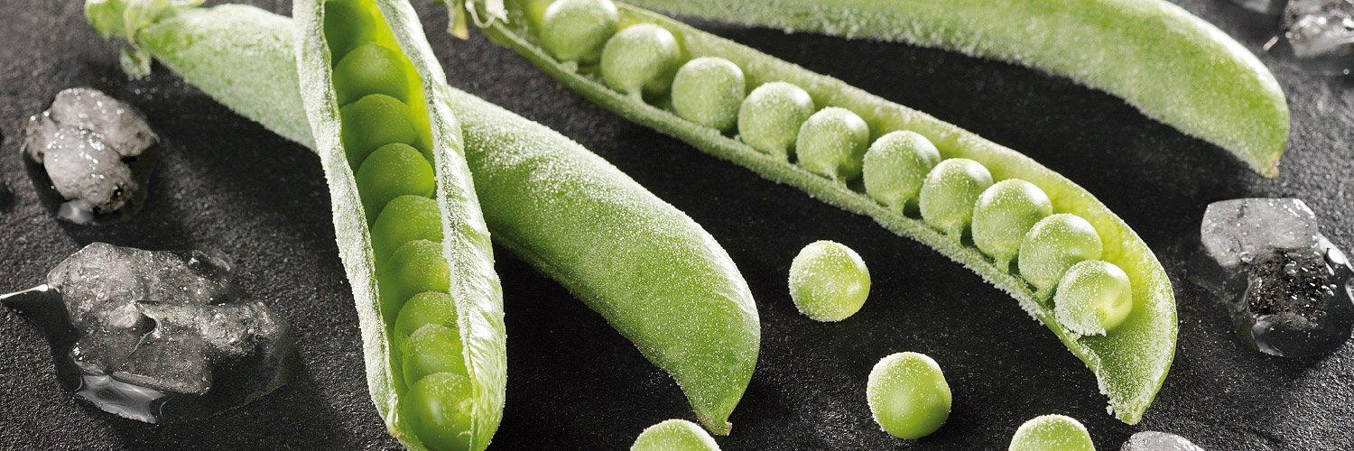 CongeladosNavarra banner