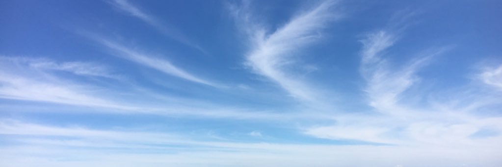 46491554's profile banner image