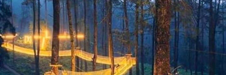 mtz_abi's profile banner image
